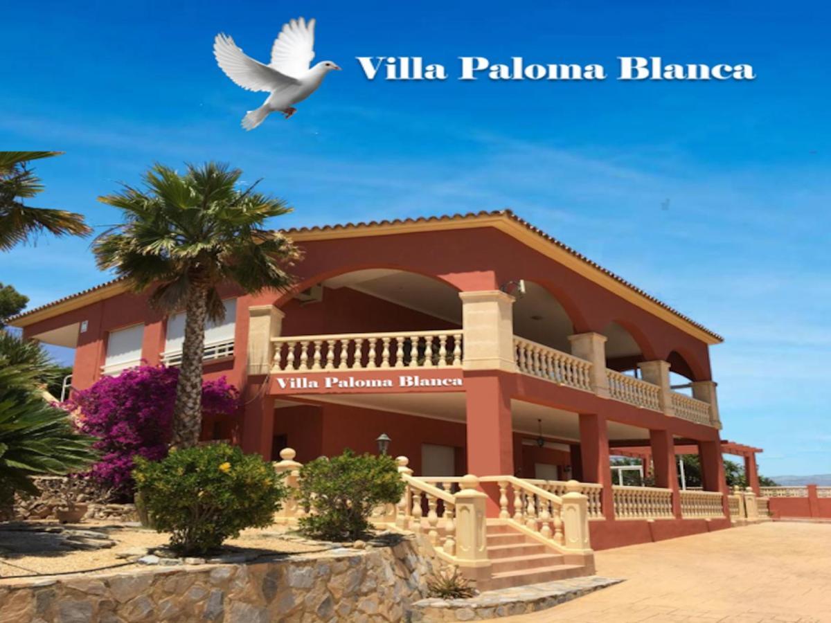 Villa Paloma Blanca Альбир Экстерьер фото